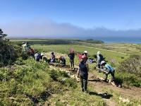 People repairing a trail overlooking the Pacific Ocean.