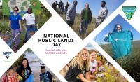 Photo collage showing volunteers participating in a variety of public lands service projects.