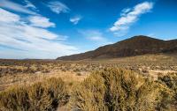 SE Oregon Resource Management Plan Amendments