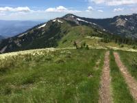 Photo of mountain with a road in it that is part of the Reeds Ridge parcel.