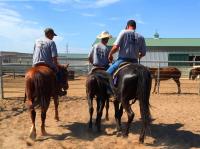 Three men riding horses at corral at Hutchinson Facility