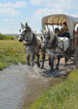 Wyoming youth ride in a horse-drawn covered wagon during a National Historic Trails Interpretive Center youth trail trek