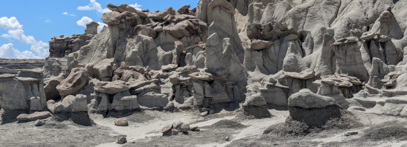 The Bisti/De-Na-Zin Wilderness in Farmington, New Mexico.