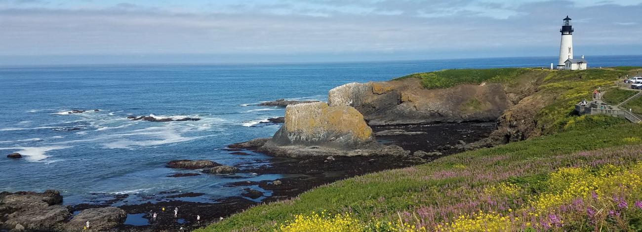 A tall coastal lighthouse stands on a grassy headland overlooking a rocky shoreline, with waves breaking around sea stacks and wildflowers blooming along the cliffs.