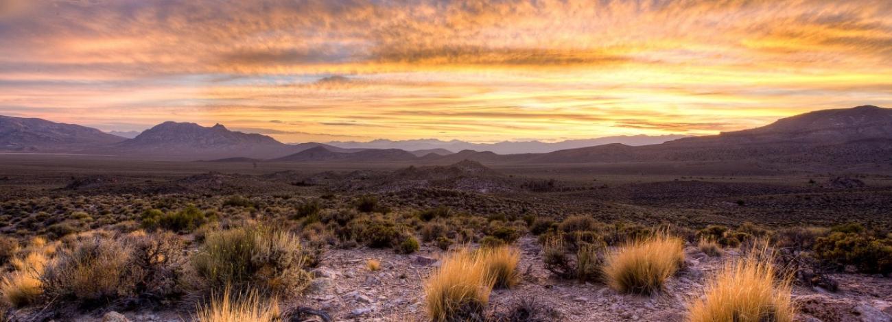 A wide desert landscape at sunset, with low shrubs and clumps of grasses in the foreground and layered mountain ranges in the distance beneath a sky glowing with orange and yellow clouds.