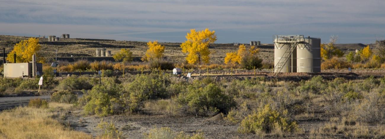 An oil‑field landscape with storage tanks and industrial equipment set among dry desert vegetation, with bright yellow autumn trees scattered across the scene and low hills in the background under an overcast sky.