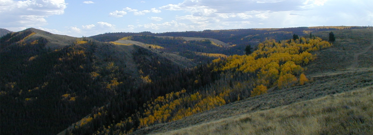 Prospect Mountain WSA