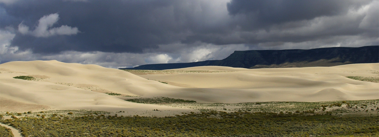 Dark clouds over the Sand Dunes Wilderness Study Area