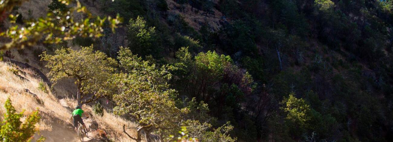 Side hill carving at the Mountain of the Rogue Trail System
