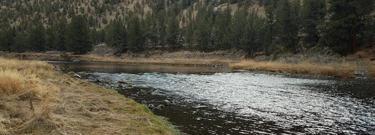 The bend in the Crooked River at Big Bend Campground