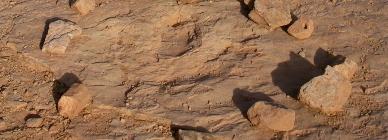 Copper Ridge Dinosaur Tracks Interpretive Site