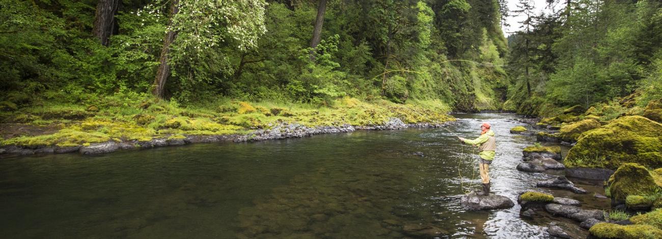 Angler in the Molalla River