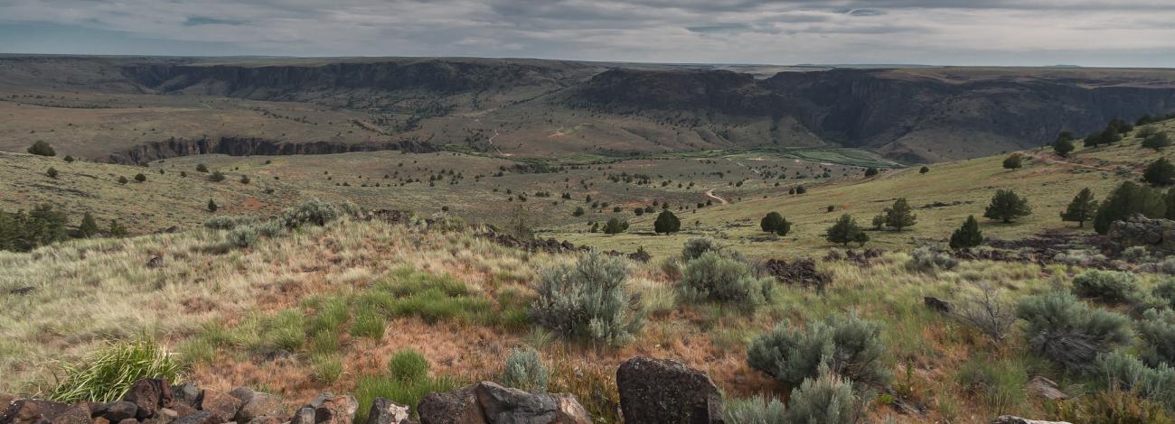 Afternoon view into the canyon of the Three Forks Recreation Site