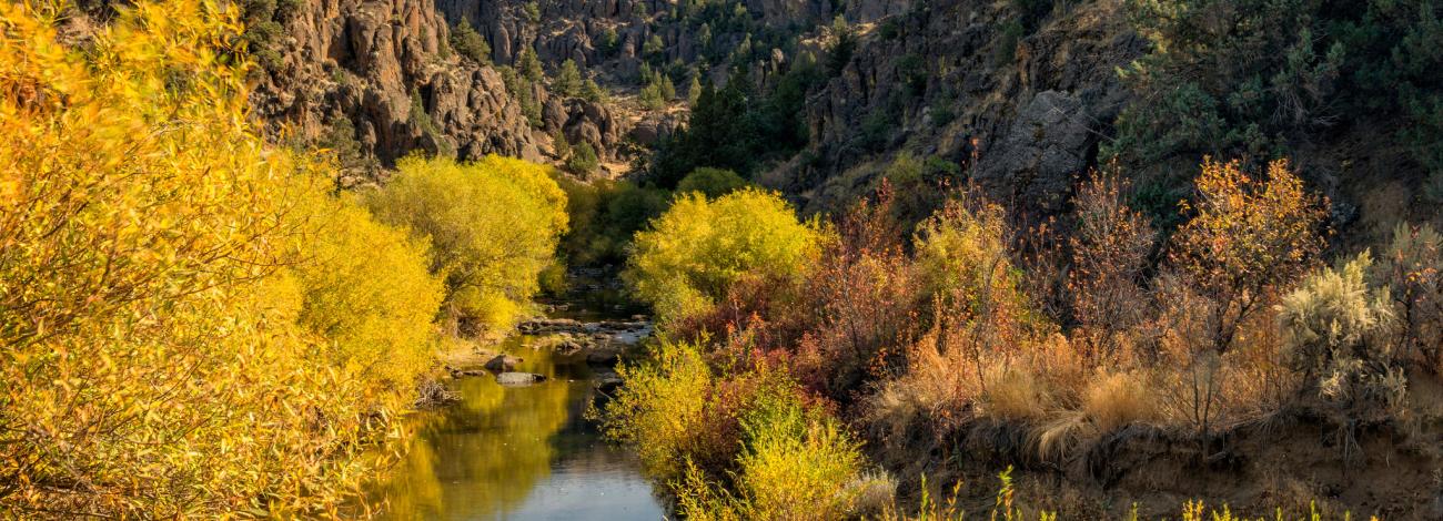 North Fork Owyhee Wilderness; North Fork Campground;