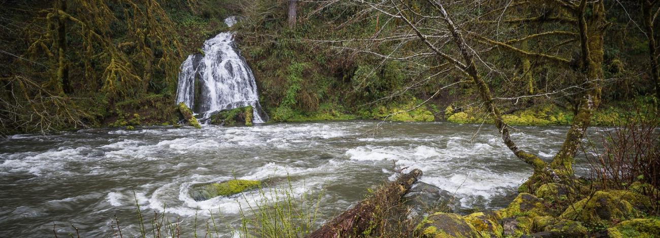 Springtime view of Alder Glen Falls and the Nestucca Wild and Scenic River at the Alder Glen Recreation Site
