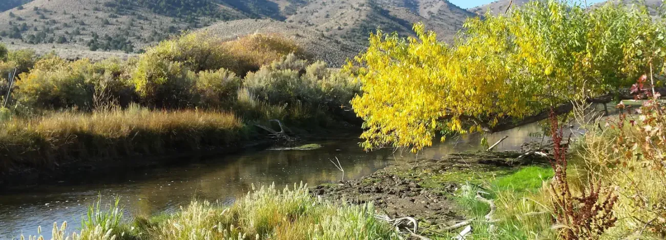 A photo of Beaver River within the  Hanging Rock Campground 