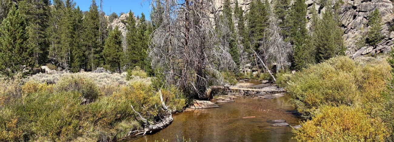 Sweetwater Bridge Campground