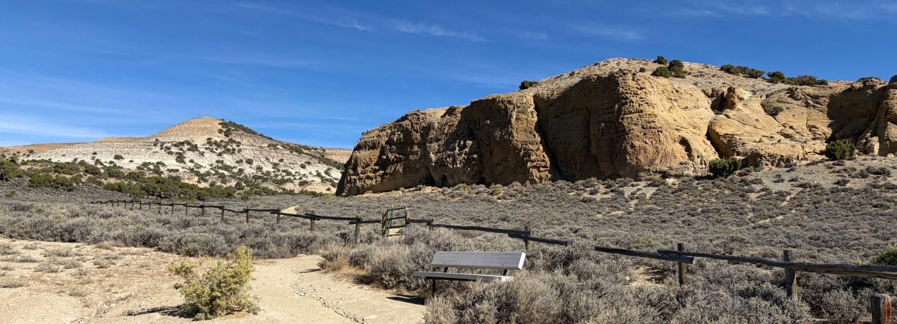 White Mountain Petroglyphs