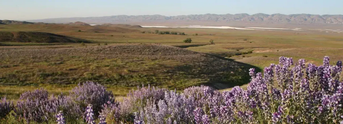 View of Carrizo Plain, Soda Lake in Distance