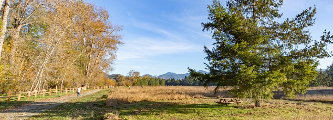 Hikers stroll along path at Provolt Recreation Site.