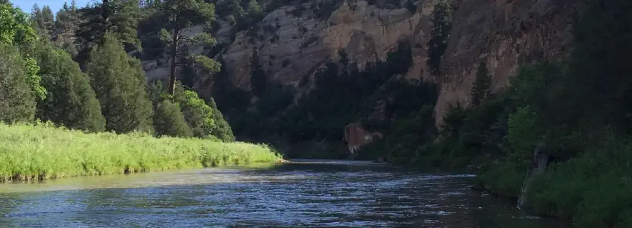 Rio Chama