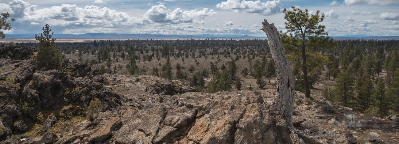 Lost Forest from the top of Sand Rock