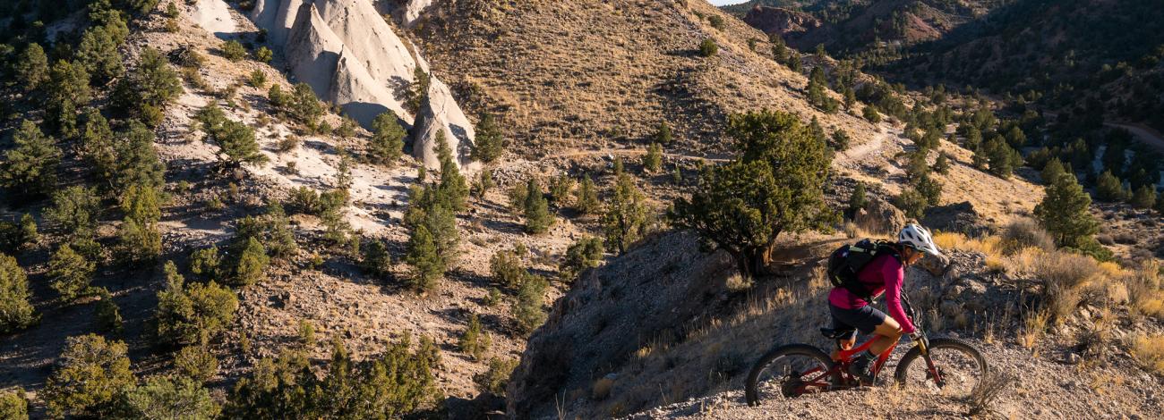 Mountain Biker on Barnes Canyon Trail