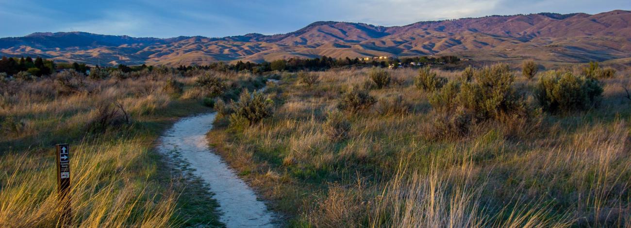 Hulls Gulch Trail