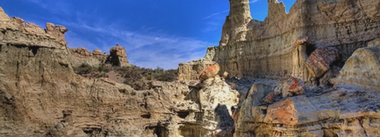 Adobetown Wilderness Study Area