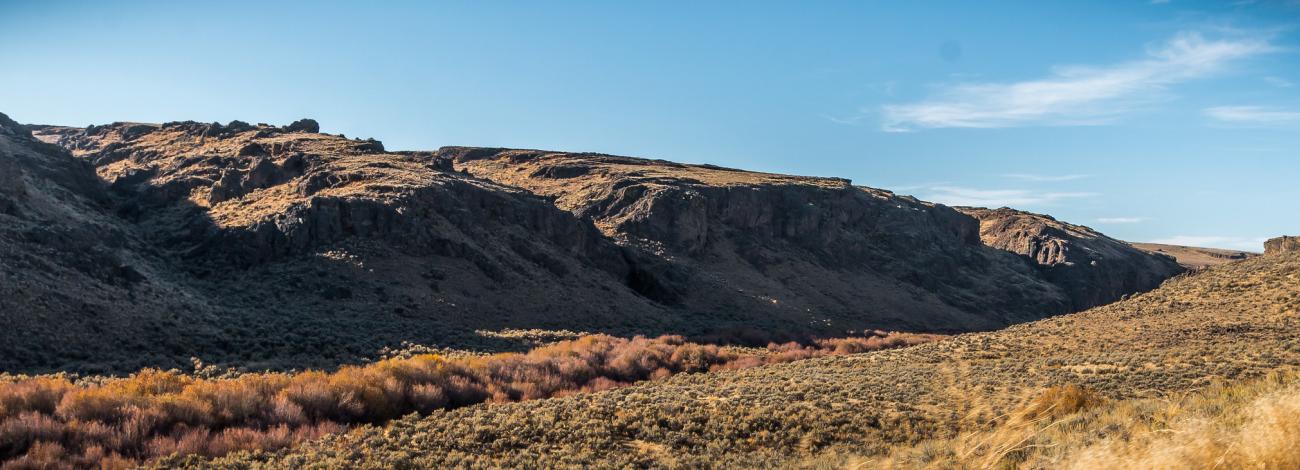 View of the West Little Owyhee River, west of Anderson Crossing