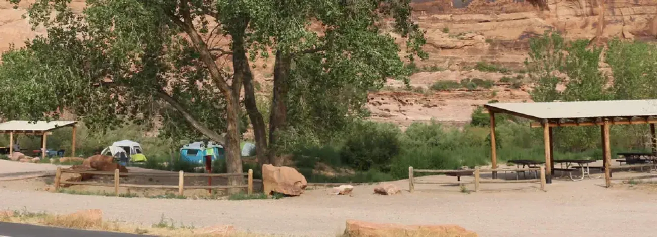 Group Site A & B at the Goose Island Campground including shade shelters, large cottonwood tree, and red rock cliffs behind.