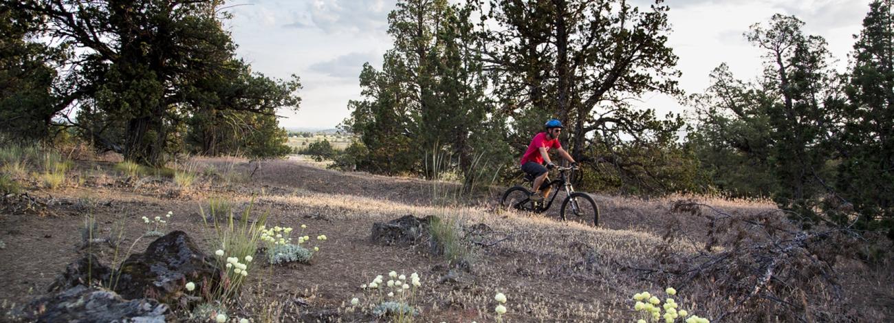 Mountain biking at Cline Buttes