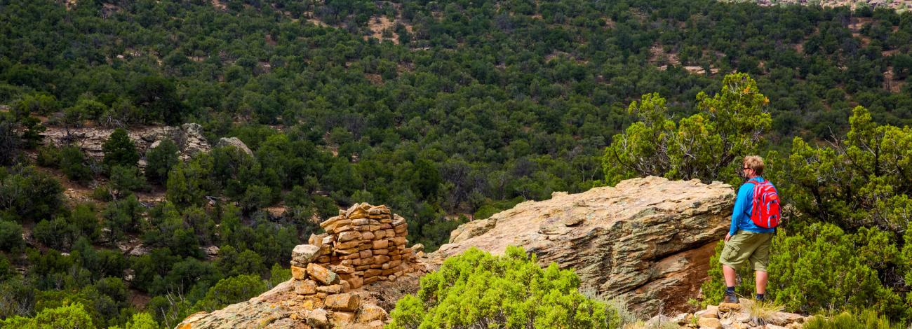 Plan your visit to Canyons of the Ancients National Monument
