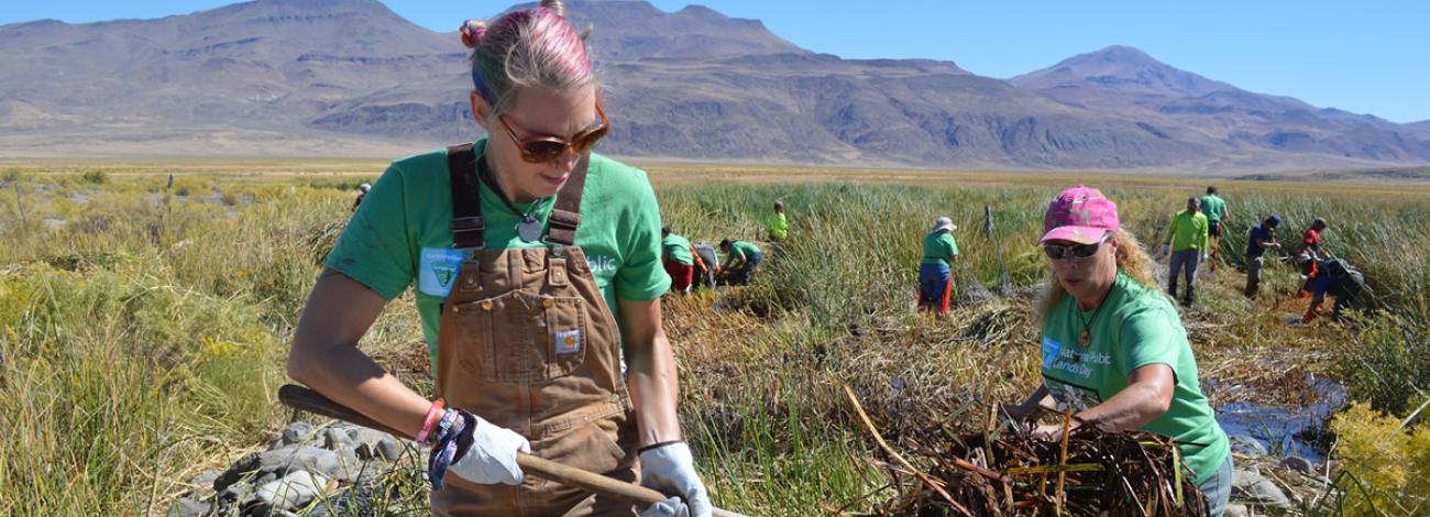 Volunteers wearing green shirts and gloves with mountains in the background.