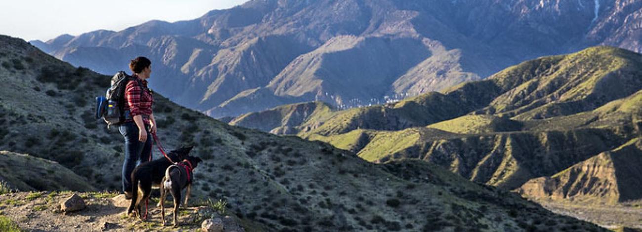 A hiker wearing a backpack and plaid shirt stands on a hillside with a black dog on a red leash, both looking out over a sweeping mountain landscape. Green rolling hills give way to rugged, layered mountain ranges in the distance under a clear sky.