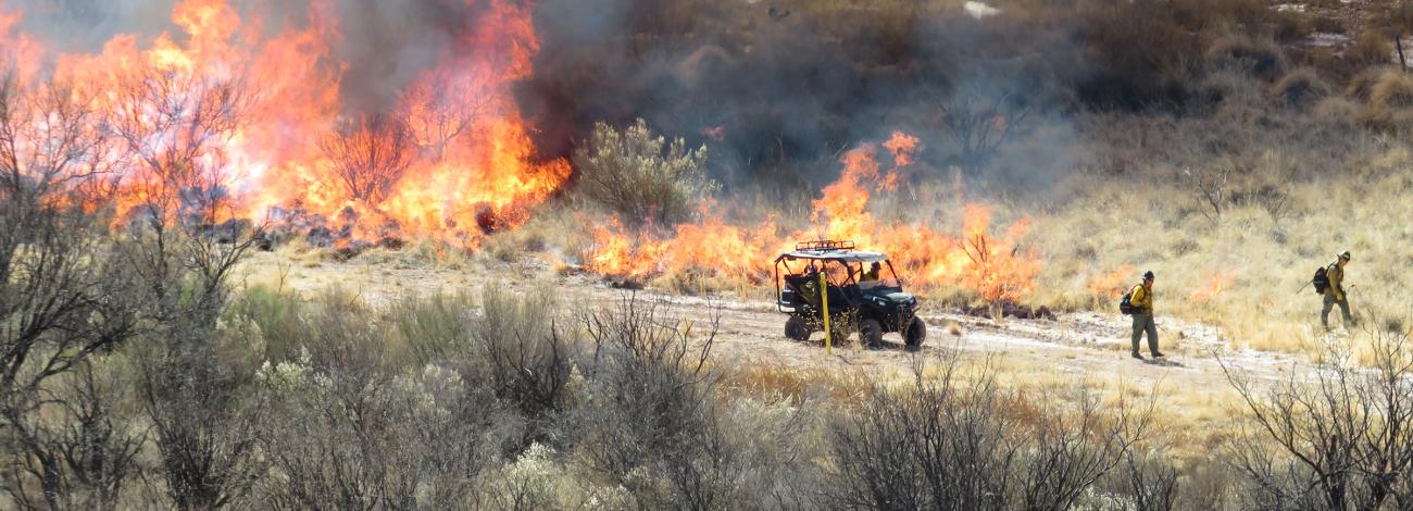 a fire burns through vegetation as firefighters look on