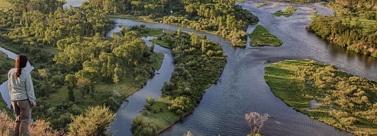 Woman overlooks scenic Soth Fork of the Snake River in Idaho river with its braids running through a and green treed landscape