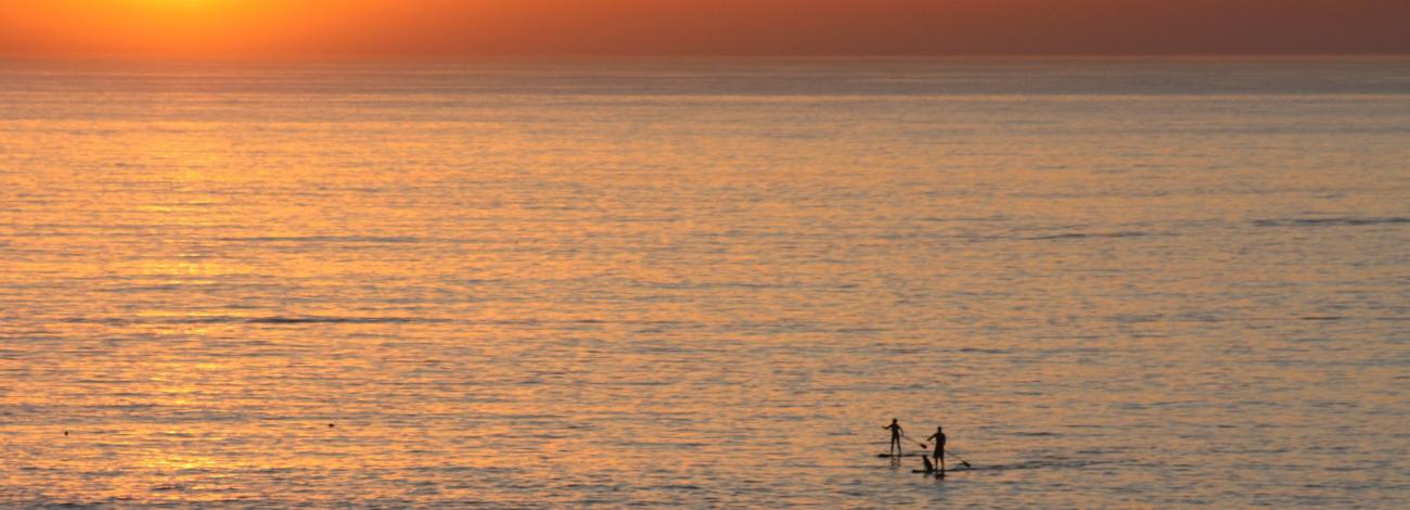 Two paddle boarders at sunset on the ocean.