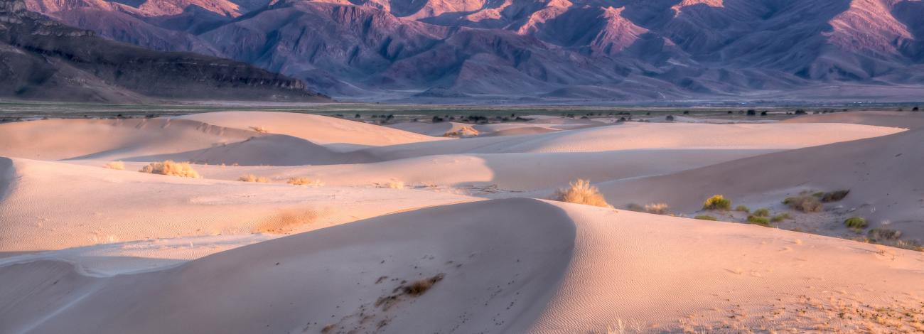Sunset set turns the mountains and sand dunes shades of pink, orange, and purple at the Little Sahara Recreation Area. BLM photo by Bob Wick. 