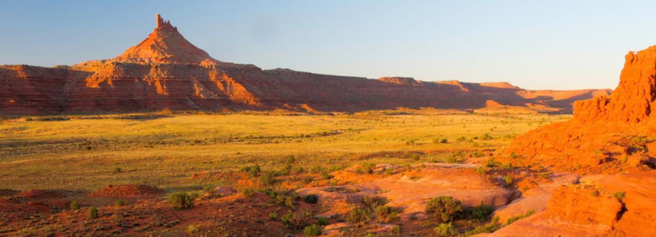 A Canyon in the southwest with brush and vegetation at the bottom of the valley. 
