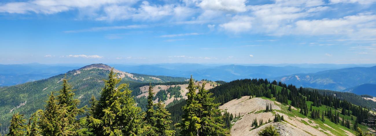 Photo shows a timber laden landscape with talus slope in the forefront