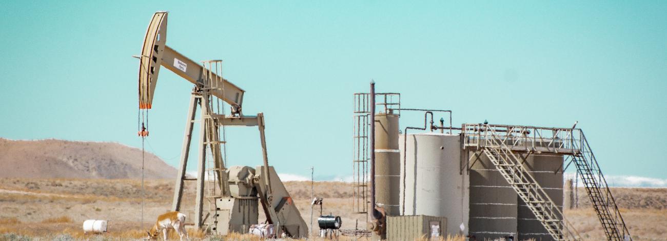 An oil pumpjack and storage tanks sit in a dry desert landscape with sparse grasses. A pronghorn antelope grazes near the base of the pumpjack under a bright blue sky.