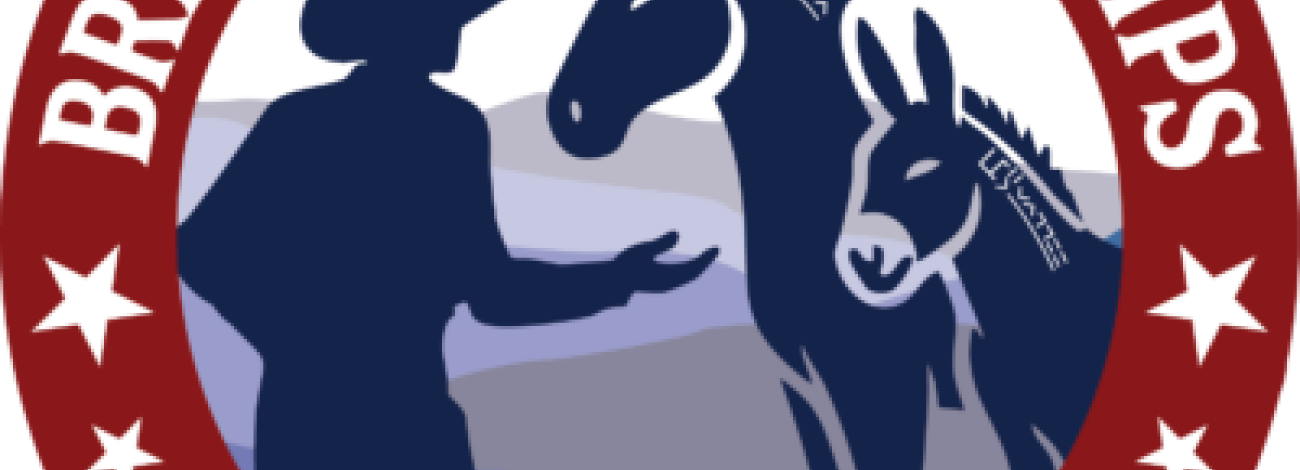 Logo with a silhouette of a person branding a horse and a donkey inside a circular red border that reads "Branded Partnerships Forever Branded."