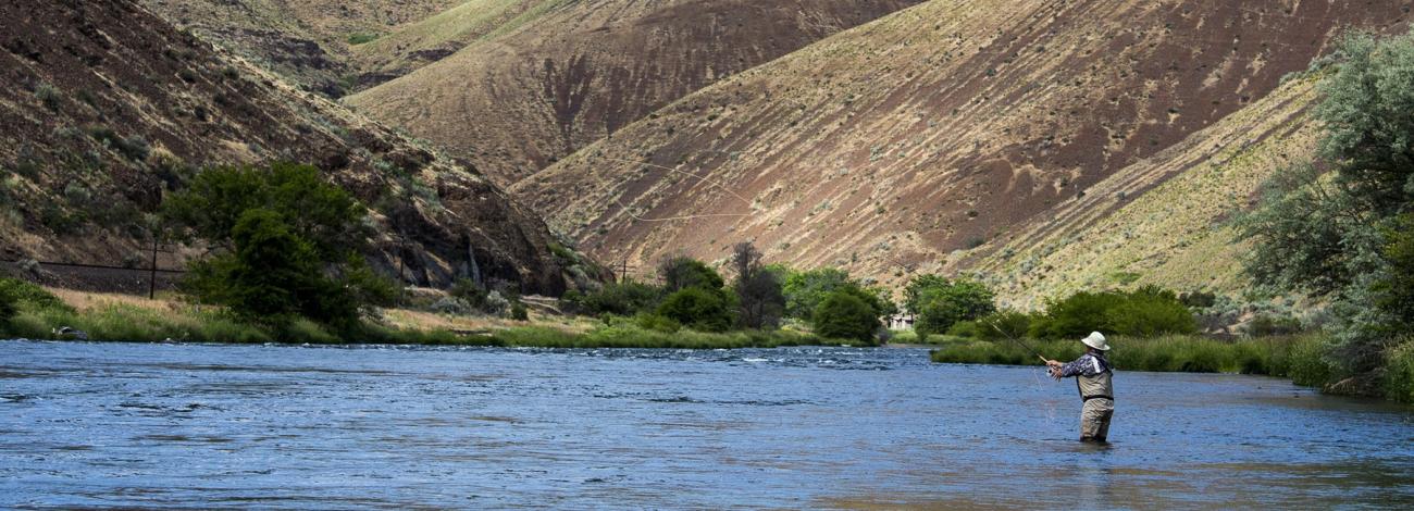angler on the Deschutes River