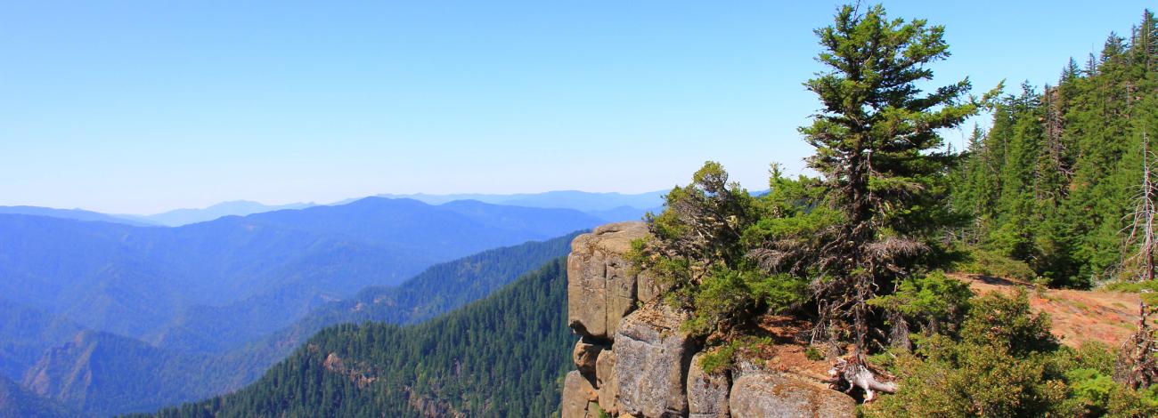 High viewpoint overlooking layered forested mountains with a rocky cliff edge in the foreground under a clear blue sky.