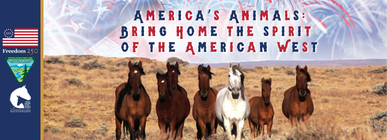 Banner graphic with "America's Animals: Bring Home the Spirit of the American West" and a group of seven horses facing forward