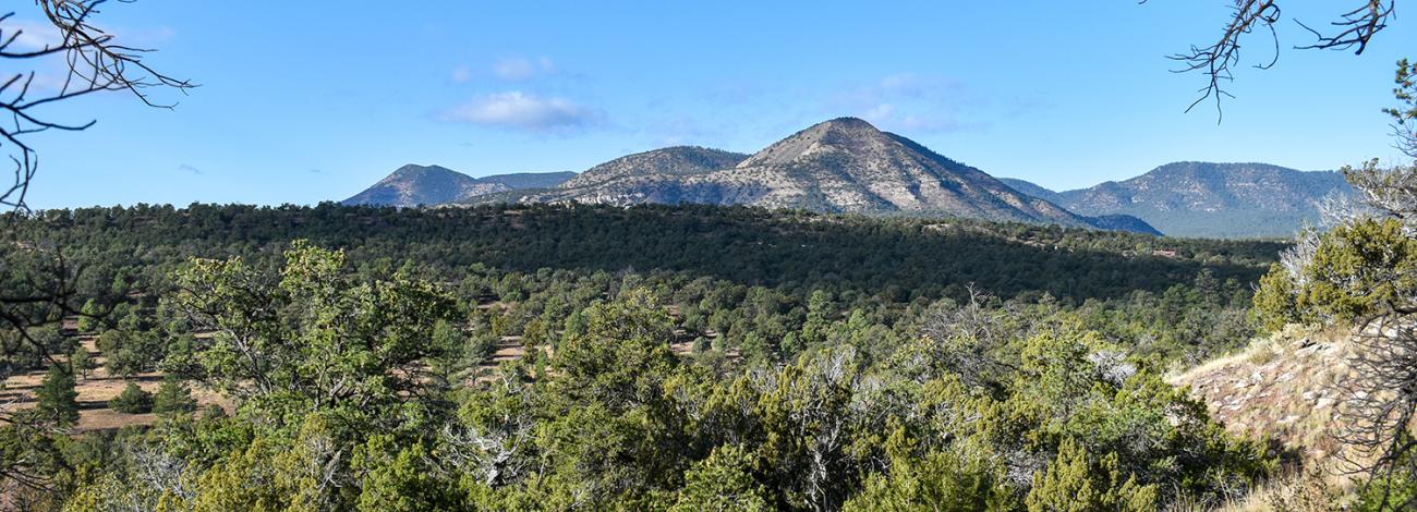 Blue skies overlook a forested valley at the Datil Well Recreation Area in New Mexico.