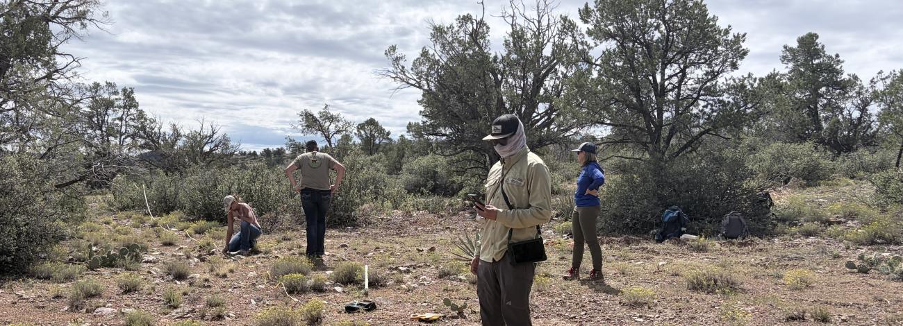 A group of workers in a desert landscape with patches of grass and trees in the background