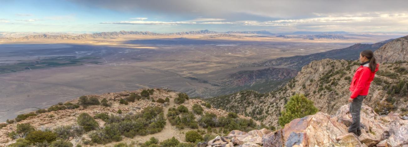 A person in a red jacket stands on a rocky overlook surrounded by shrubs and cliffs, looking out across a vast desert valley and distant mountain ranges under a partly cloudy sky.