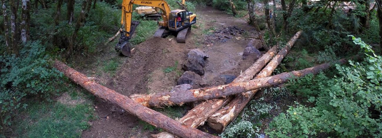 A yellow Hyundai excavator works near a stream in a forested area, placing large logs and boulders into the streambed. Several felled tree trunks are arranged across the water and bank, apparently as part of a stream restoration or habitat project. Green vegetation and trees surround the worksite.